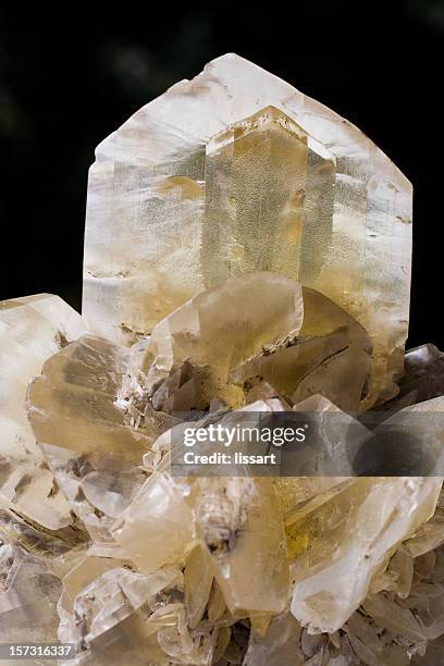 rocks and minerals - selenite crystals - selenit bildbanksfoton och bilder
