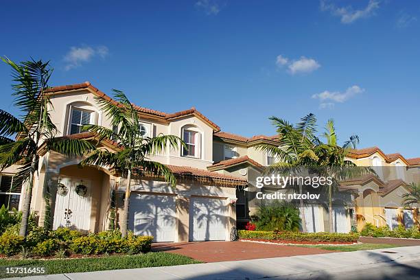 a beautiful house for a single family with palm trees - miami stockfoto's en -beelden
