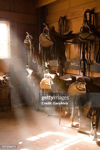 saddles - horse saddle stock pictures, royalty-free photos & images