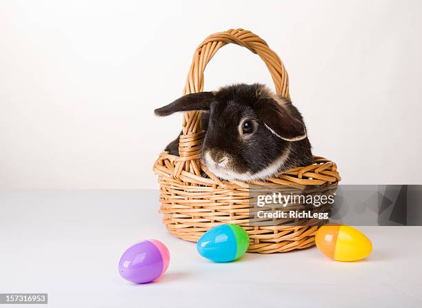 bunny series - easter basket stock pictures, royalty-free photos & images