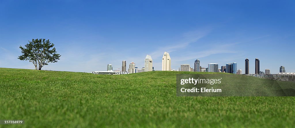 San Diego City From The Grass