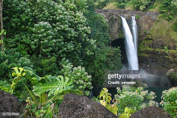 tropical oasis depicting a waterfall, rainbow falls, hawaii - water fall hawaii 個照片及圖片檔