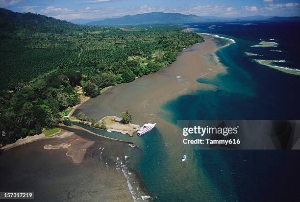 rivers run to the sea - papua new guinea beach stock pictures, royalty-free photos & images