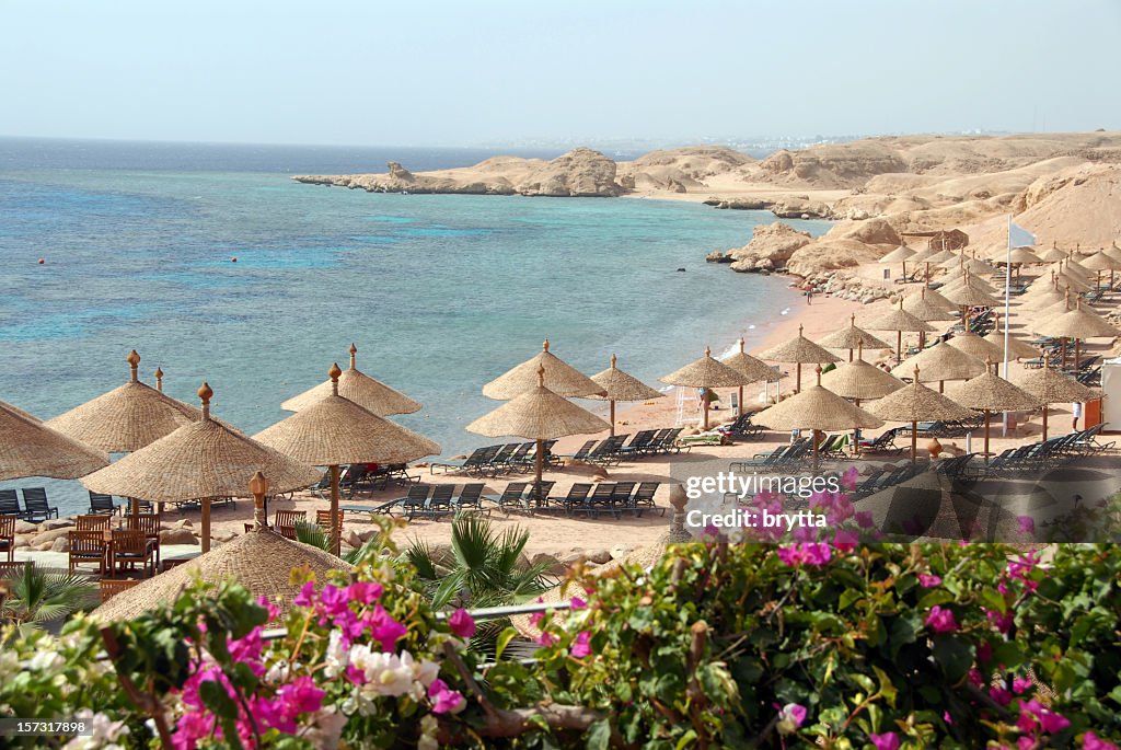 Exotic beach with parasols and bougainvillea , Sharm el-Sheikh, Egypt