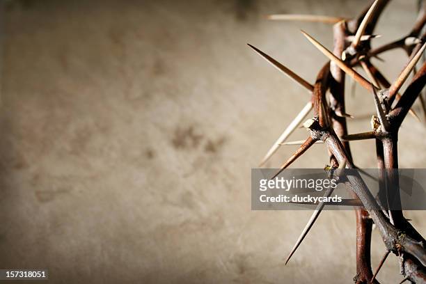 crown of thorns on grunge tan background - religion bildbanksfoton och bilder
