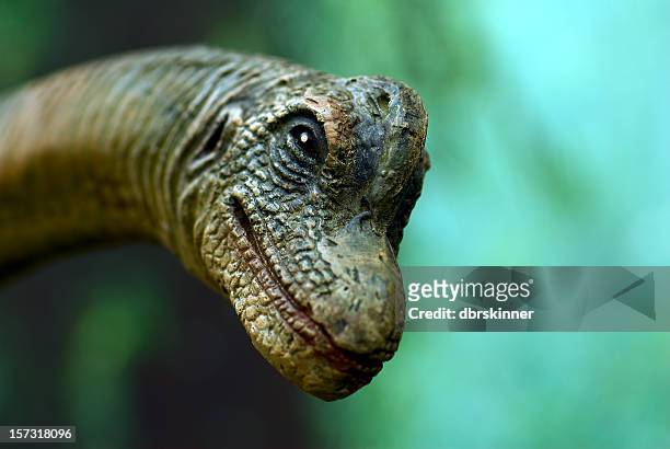 dinosaur face - paleontology stock pictures, royalty-free photos & images