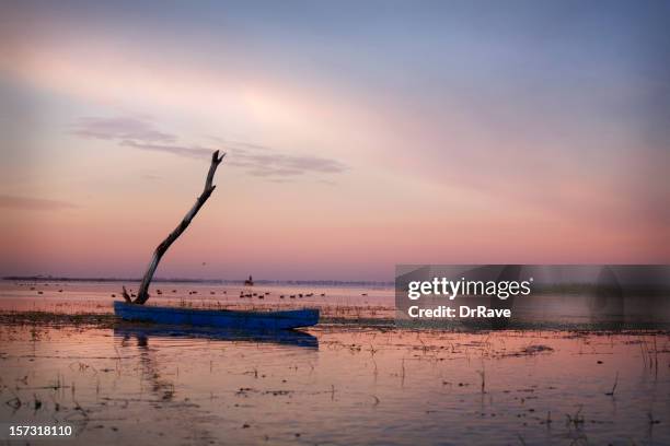 a sky view of the sunset in nalsarovar india - wet area stock pictures, royalty-free photos & images