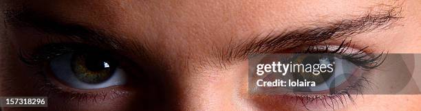Sharp Eye Image 1,769 Sharp Eyes Stock Photos, High-Res Pictures, and Images - Getty Images