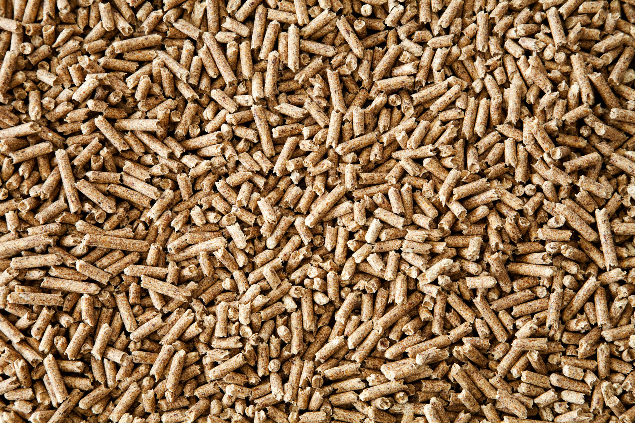 biomass wood pellets