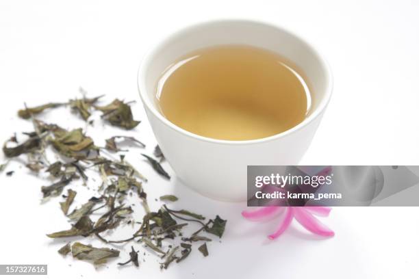 healthy white tea - white tea stock pictures, royalty-free photos & images