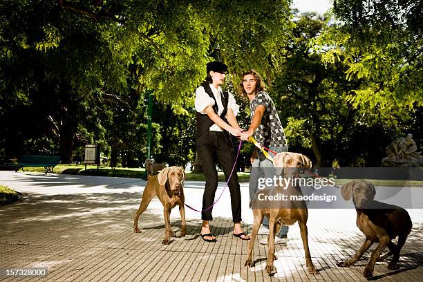 couple with dogs - pulling stockfoto's en -beelden