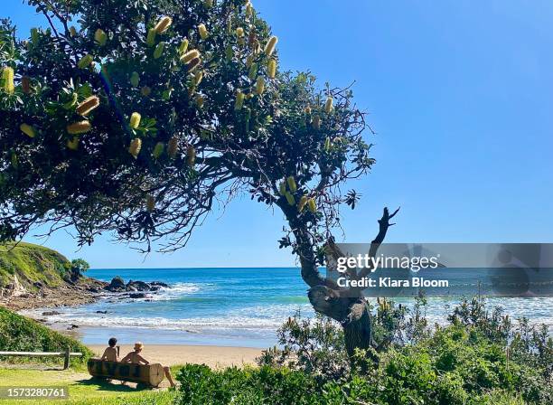ocean views from park bench - coastal banksia stock pictures, royalty-free photos & images