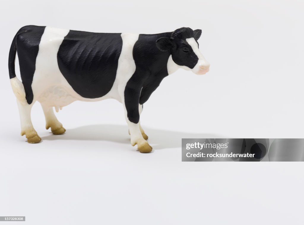 Cow on White