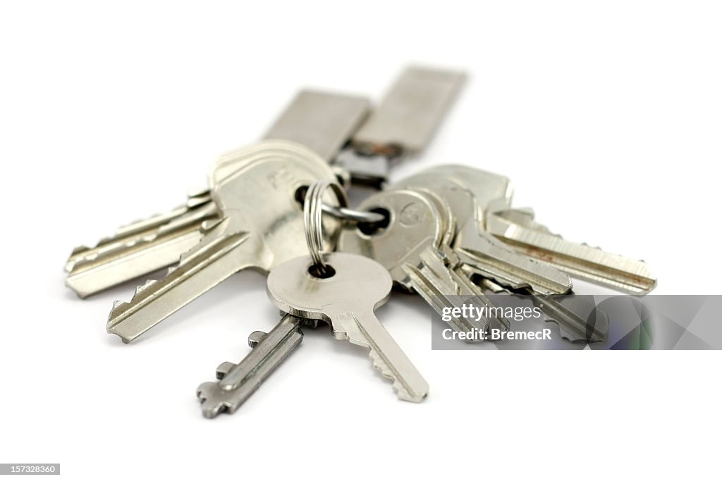 A bunch of silver keys on keychain