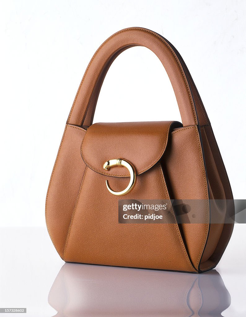 Stylish fashionable handbag