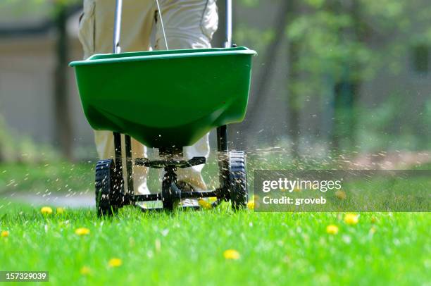 lawn weed and feed - gazon stockfoto's en -beelden