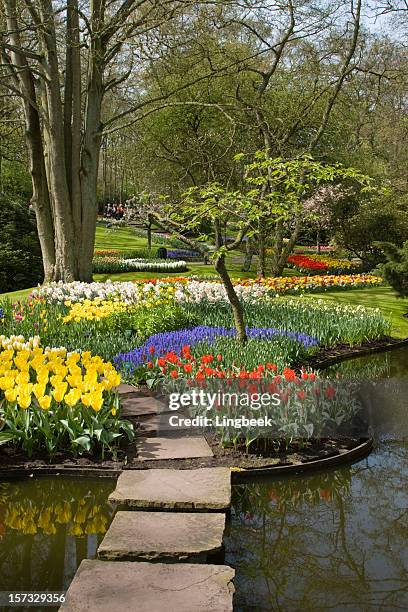 spring in keukenhof gardens - keukenhof gardens stockfoto's en -beelden