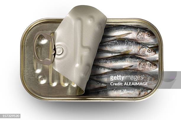 tinned sardinen - blechdose stock-fotos und bilder