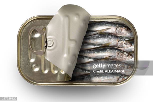 tinned sardines - cans stockfoto's en -beelden