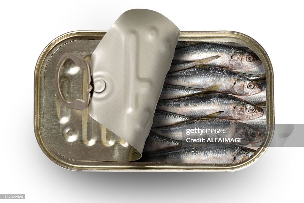 Tinned sardines