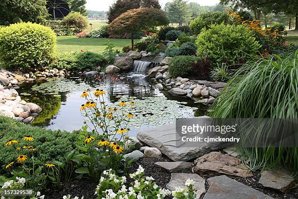the perfect backyard - landscaped stock pictures, royalty-free photos & images