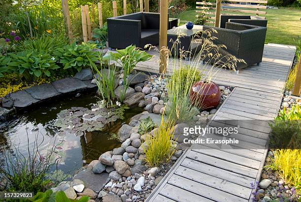 patio and pond in the afternoon sun - landscaped stock pictures, royalty-free photos & images
