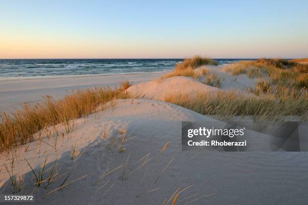 a beautiful sand dunes near the beach during sunrise - duinen stockfoto's en -beelden