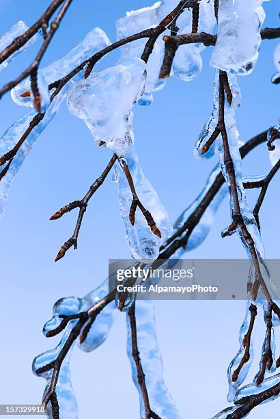 winter art - ice storm stock pictures, royalty-free photos & images