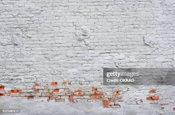 white brick wall background - fortified wall 個照片及圖片檔