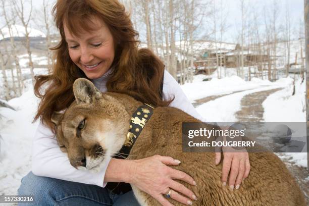 woman with mountain lion - cougar women stockfoto's en -beelden