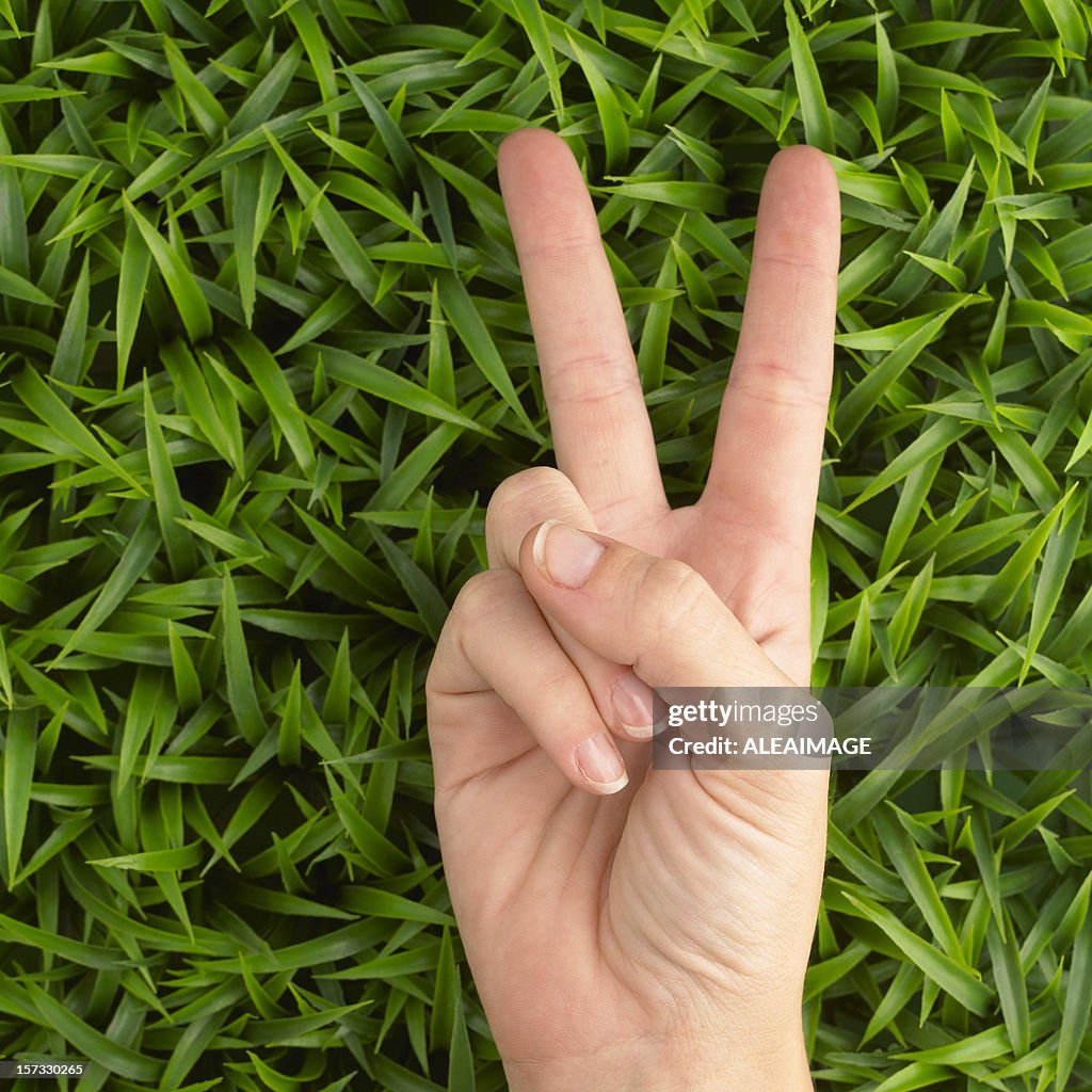 Victory sign on grass