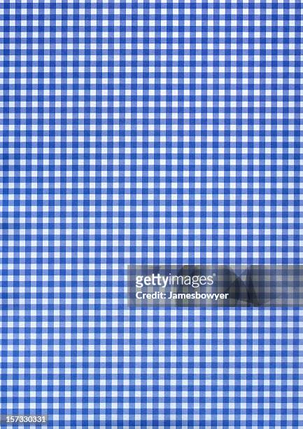 blue & white checkered pattern - blue tablecloth stockfoto's en -beelden
