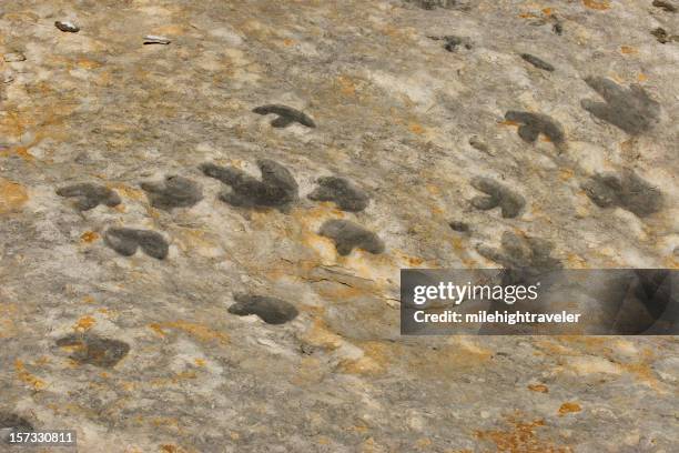 dinosaur footprints along hogback, denver, colorado - dinosaur tracks stock pictures, royalty-free photos & images