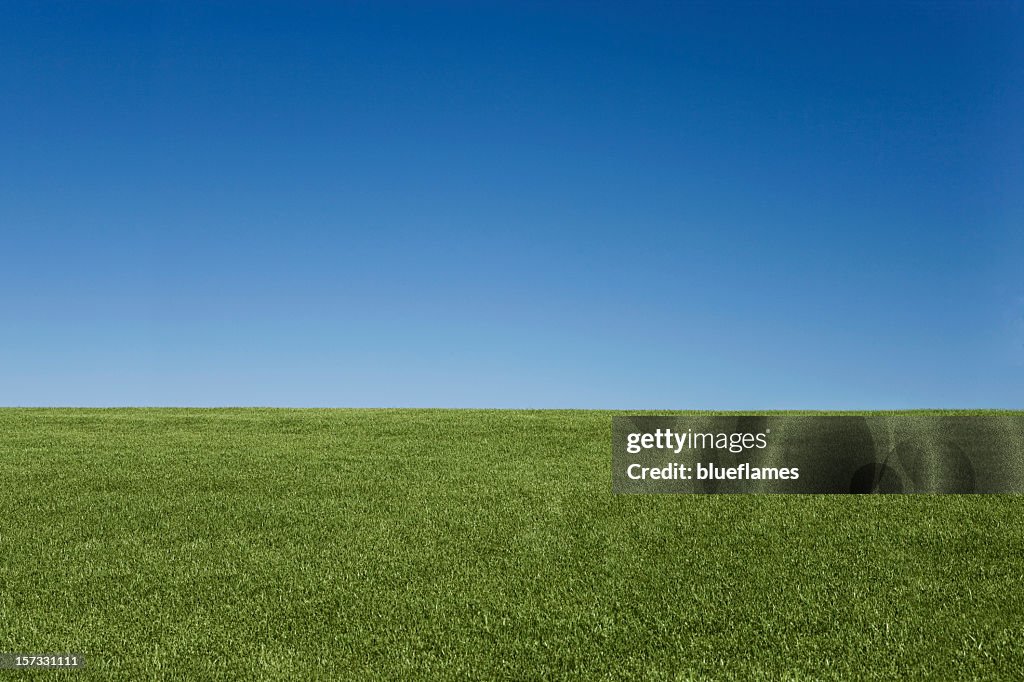 芝生と空