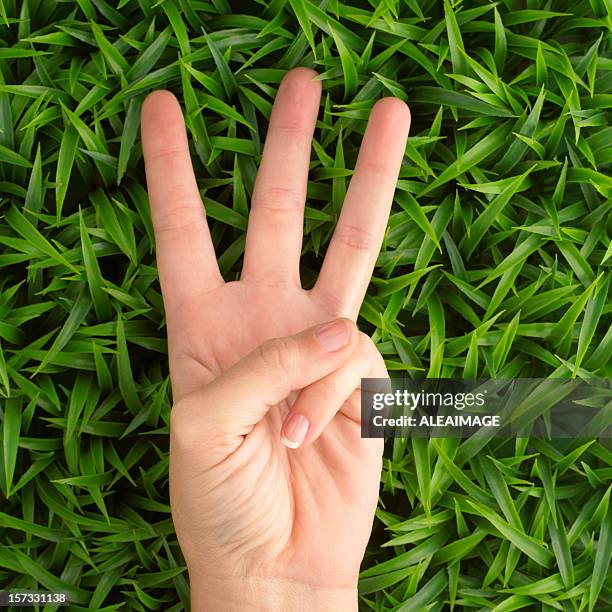 2,396 Number 3 Hand Stock Photos, High-Res Pictures, and Images - Getty ...