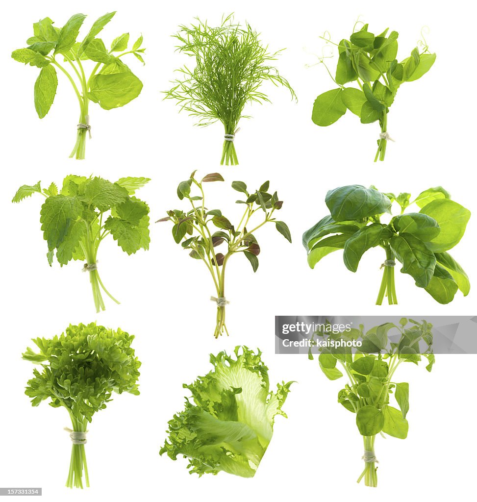 Bunch of herbs (XXL)