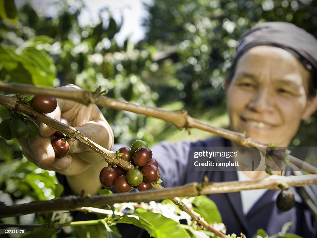 Fair Trade Coffee Farmer