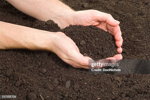 hands in the garden - top soil stock pictures, royalty-free photos & images