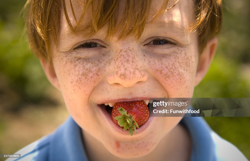 Tache de rousseur visage garçon mangeant des fraises fruits frais, des dégustations de mets sains pour les enfants