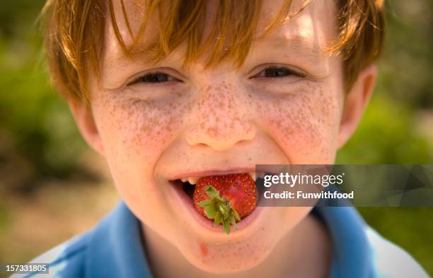 boy freckle face eating strawberry fruit, child tasting healthy food - boy freckle stock pictures, royalty-free photos & images