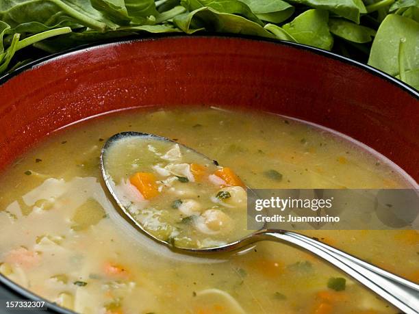 pollo minestrone - sopa de pollo con fideos fotografías e imágenes de stock
