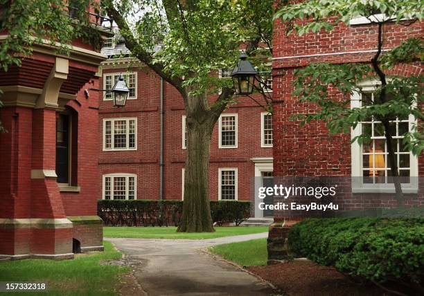 el campus de la universidad de harvard - harvard dorms fotografías e imágenes de stock