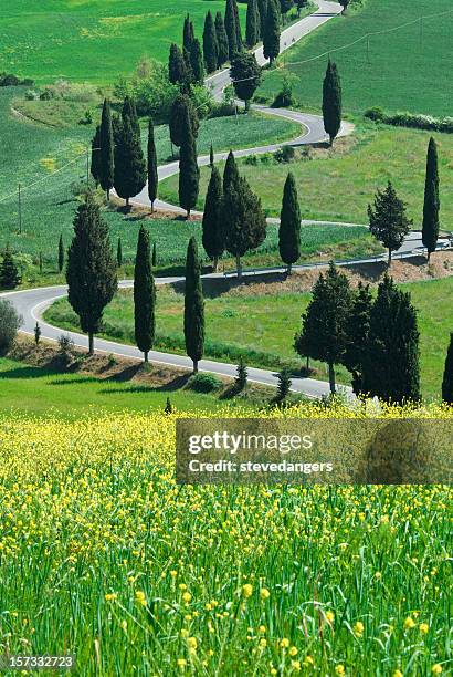 serpentine road, val d'orcia - stevedangers stock pictures, royalty-free photos & images