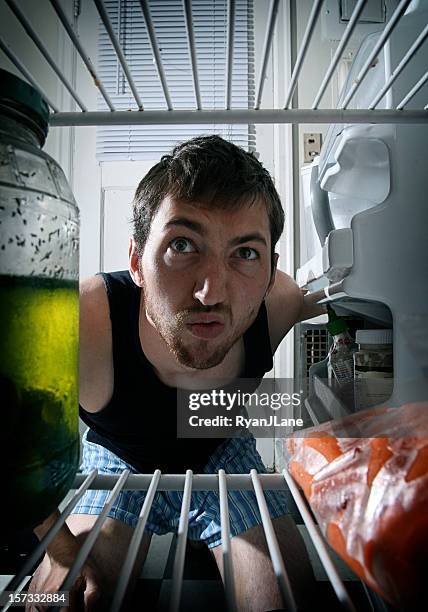 spuntino di mezzanotte - funny fridge foto e immagini stock