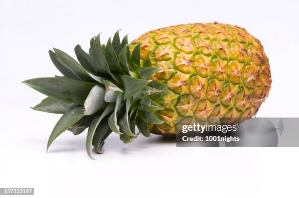 pineapple - ananas stockfoto's en -beelden