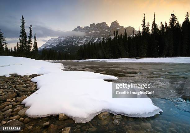 canadian rockies winter scenic on bow river - spring flowing water stock pictures, royalty-free photos & images