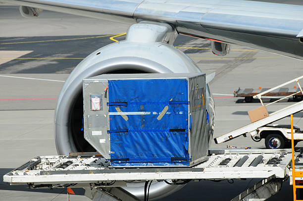 airlines industry - portable conveyer belt - airport transfers stock pictures, royalty-free photos & images