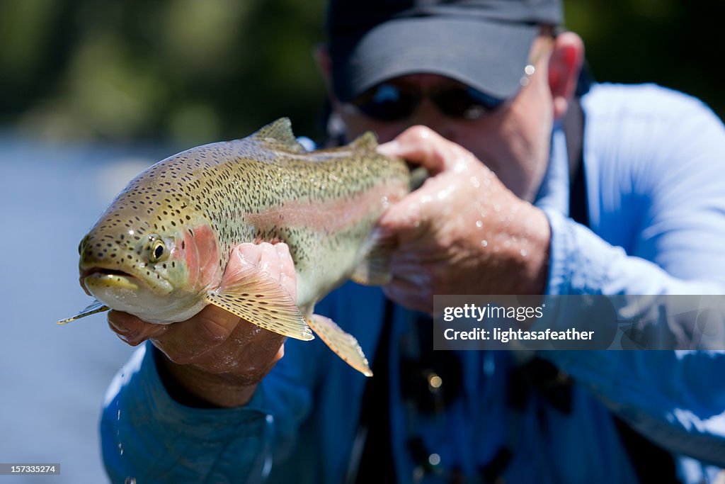 Trout Caught on a Fly