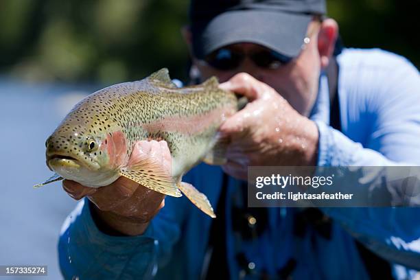 Trout Caught On A Fly High-Res Stock Photo