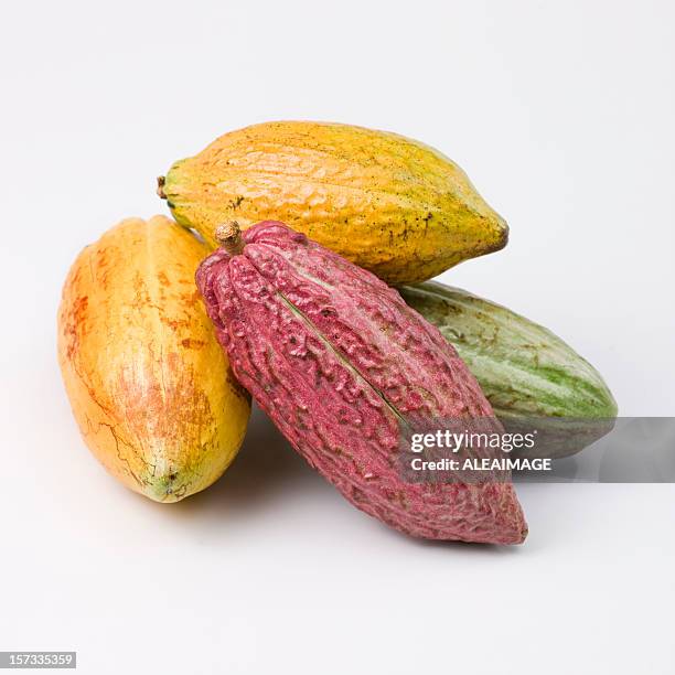 cocoa fruits - cacao stock pictures, royalty-free photos & images